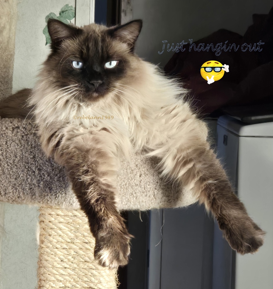 Happy Tuffy was hangin outta his perch