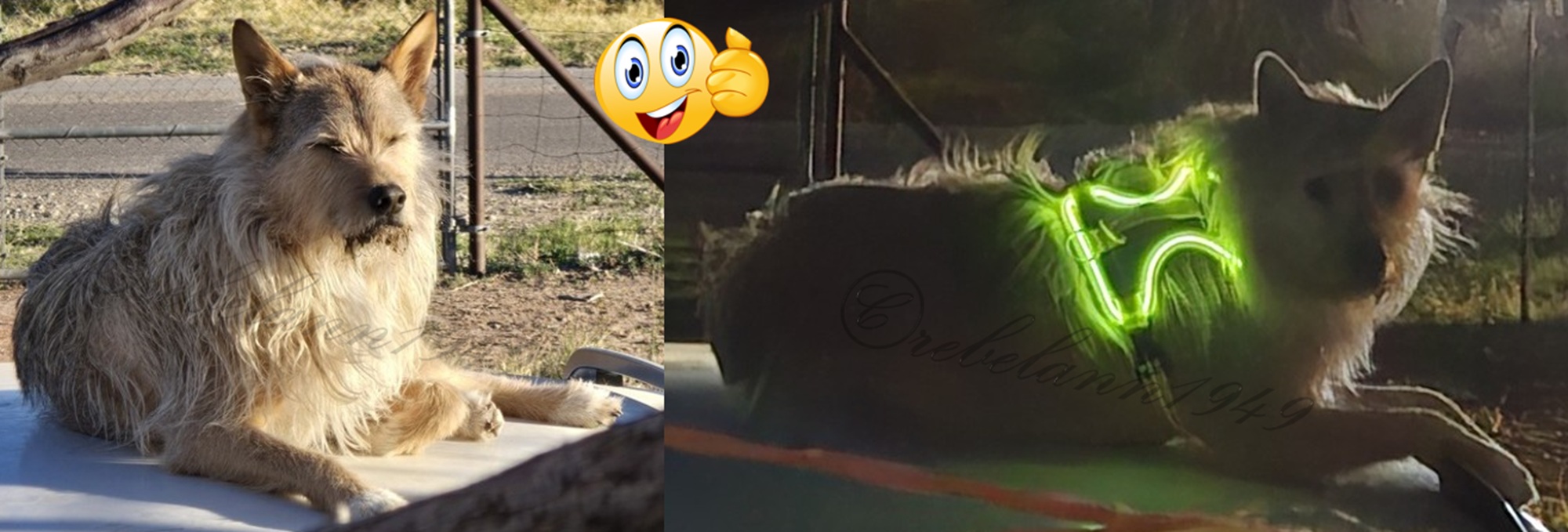 He can't hide from me anymore 