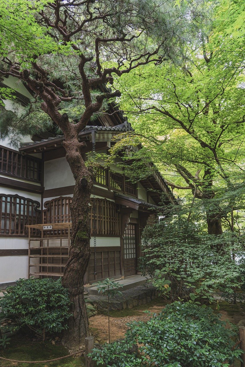 Everything starts and ends in God Everything starts and ends in God