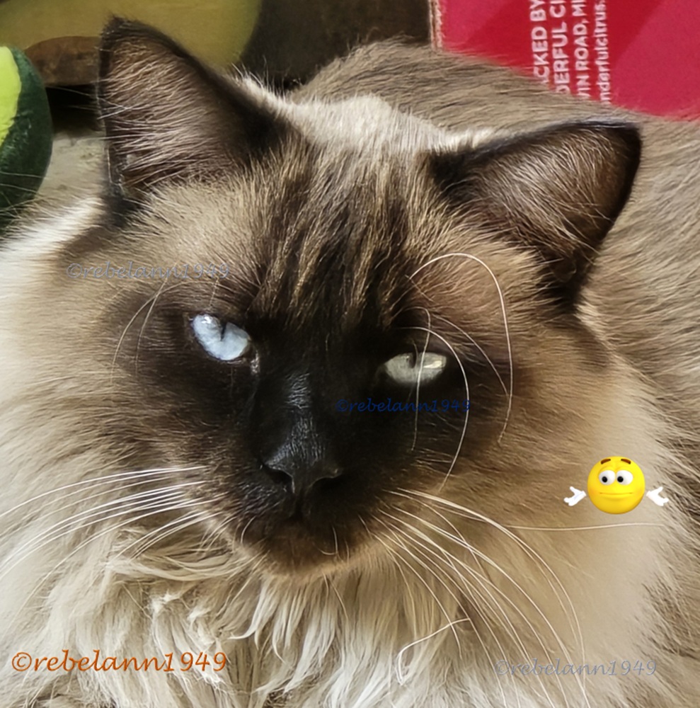 Tuffy is very expressive