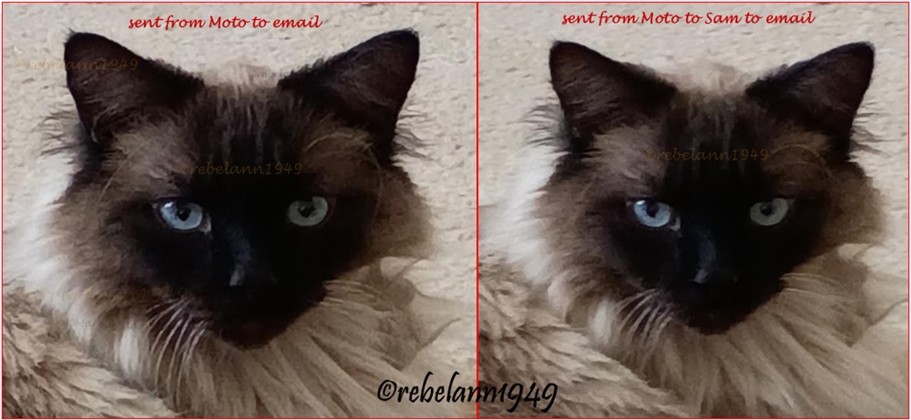 which side looks better?