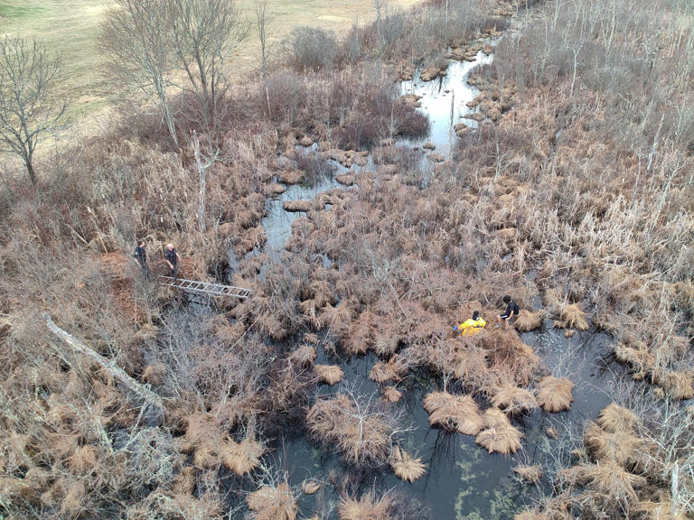 Groton Massachusetts rescue a youngster who was in a swamp,