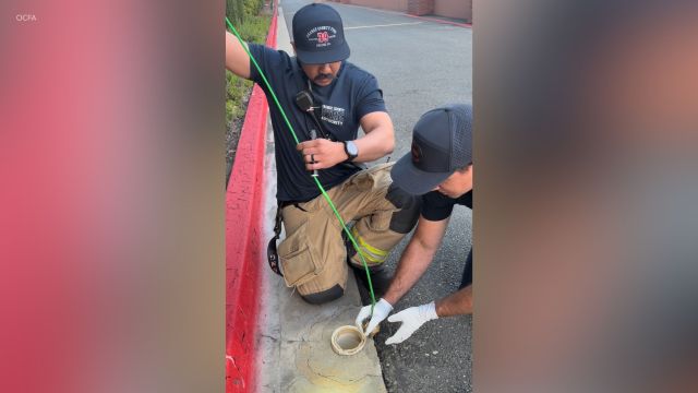 Orange County firefighters rescue eight ducklings from a storm drain in California
