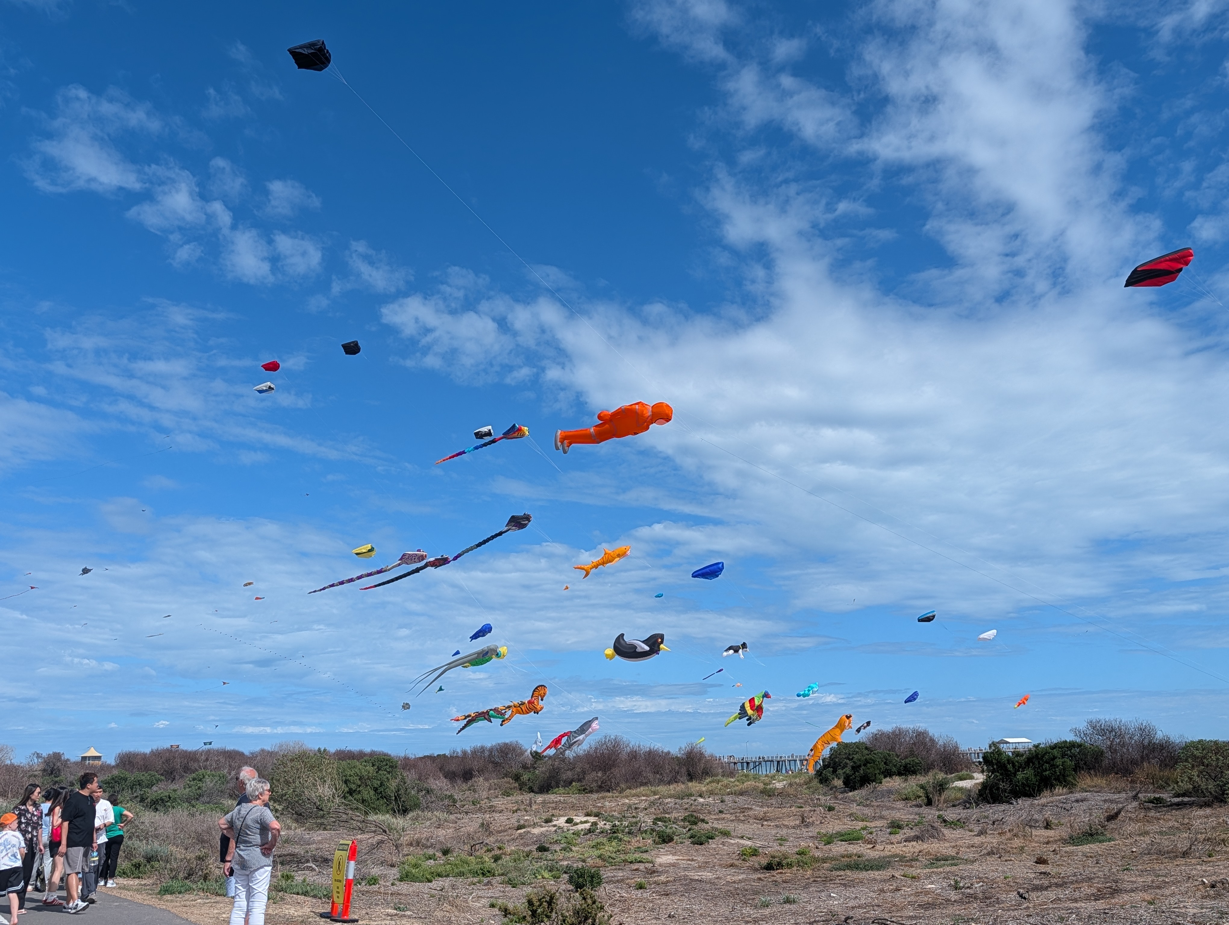 Kites Kites