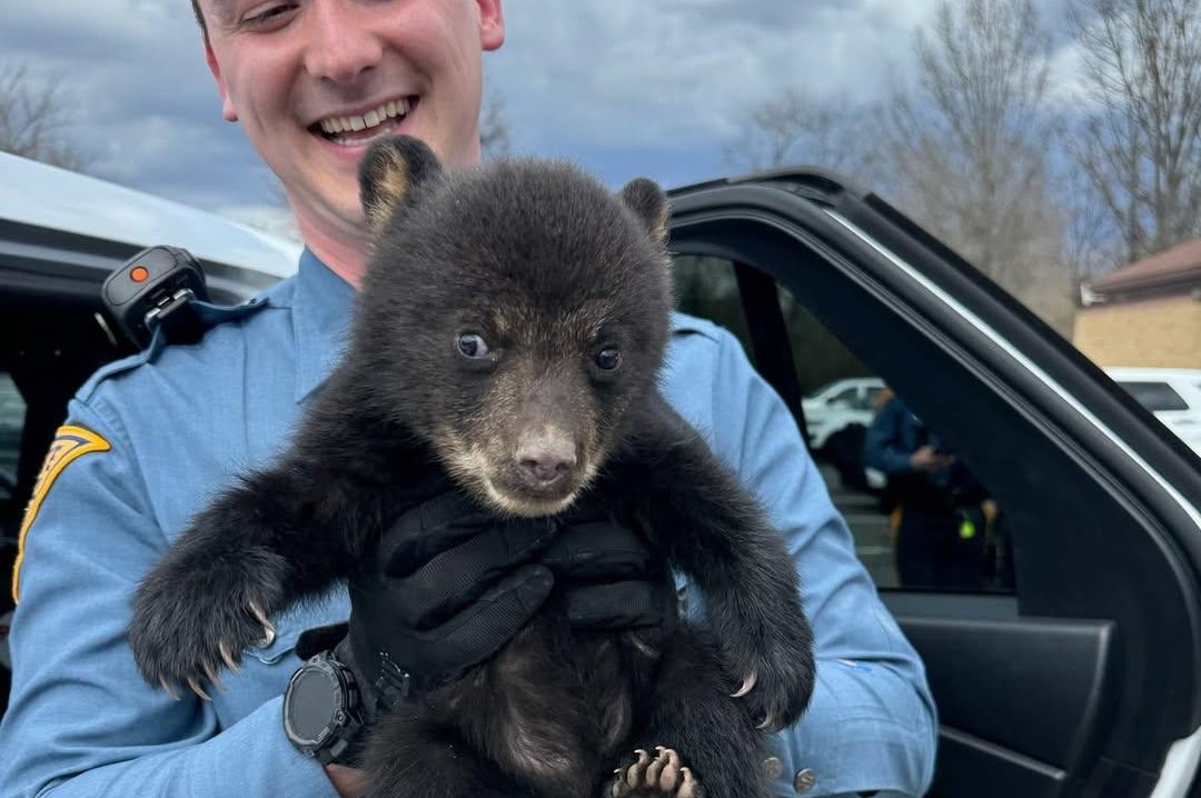 New Jersey state police officer with a cub that he was rescued in a ditch.