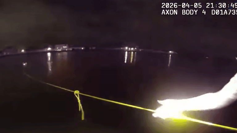 Deputies in Hillsborough County rescue a woman driver who was in a submerged auto 