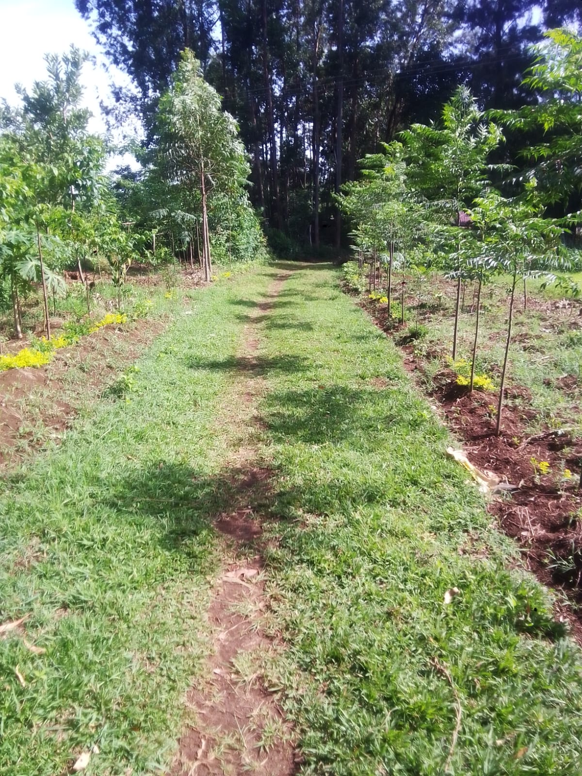 A photo I took of the landscape towards mum's home A photo I took of the landscape towards mum's home