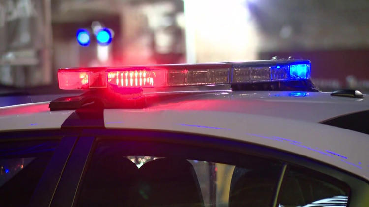 A police cat in Fishers Indiana search and find a missing boy on Sunday 