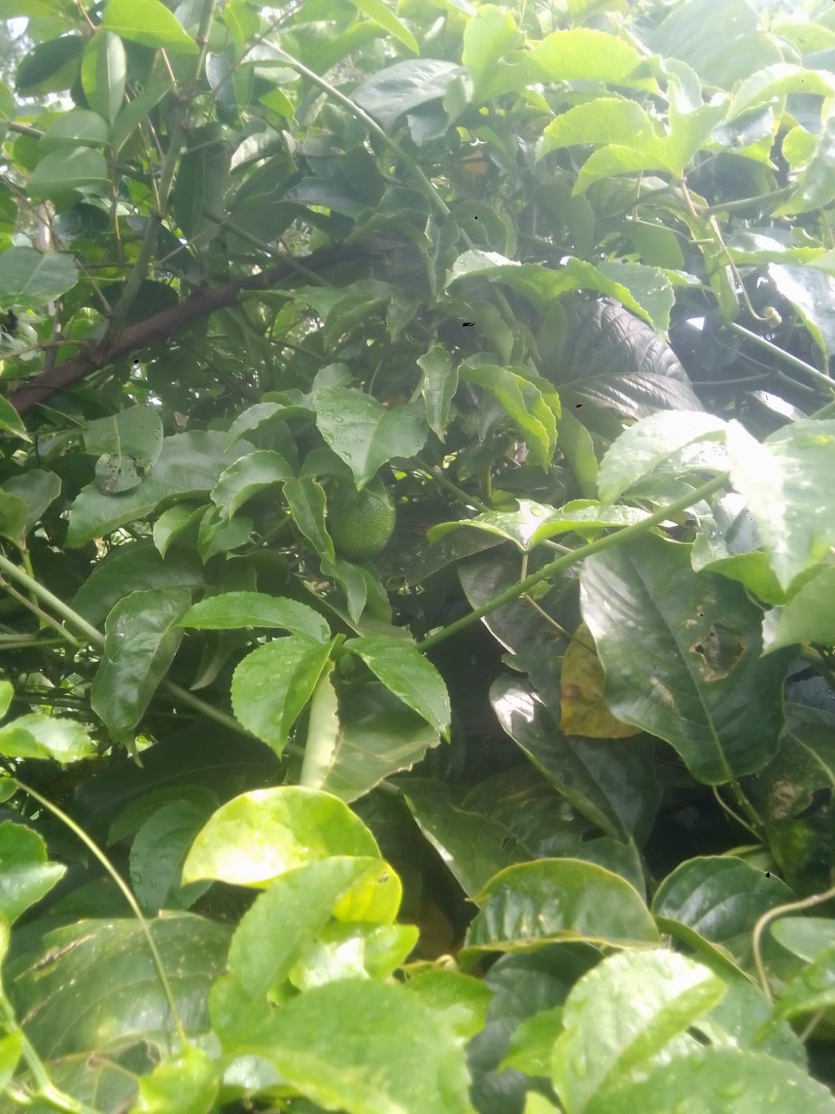 This is my photo This is my photo