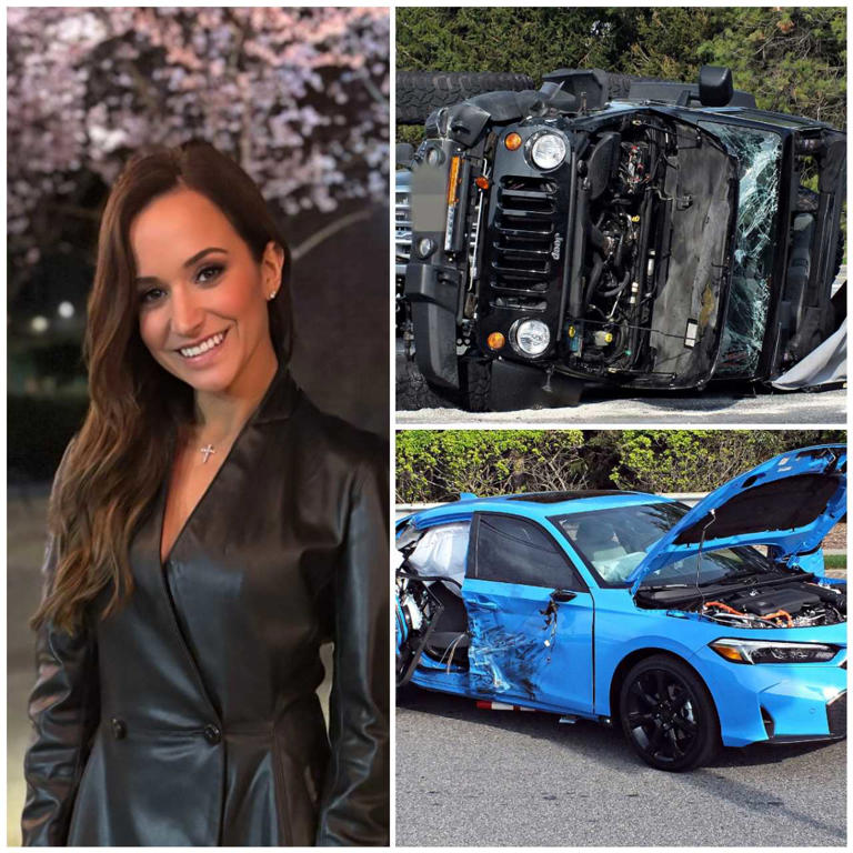 Former sports reporter Dianne Russini rescues a man and his dog in New Jersey 