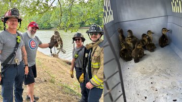 Firefighters in Bowling Green Kentucky rescue ducklings who were in a storm drain