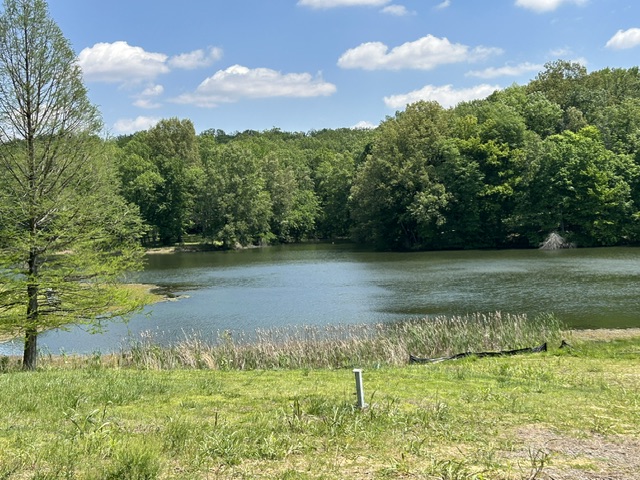 Lake at John James Audubon State Park, Henderson, Kentucky.  Photo taken by and the property of FourWalls.