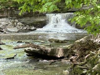McCormick’s Creek Falls from the bank of the creek.  Photo taken by and the property of FourWalls.