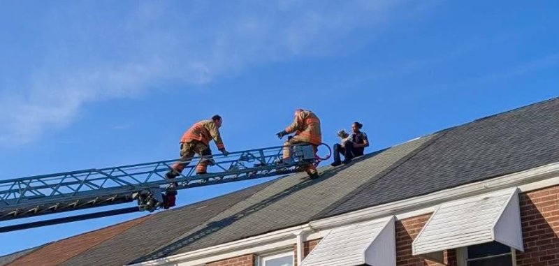 Firefighters in Baltimore County rescue a police officer and a dog that were in a roof.