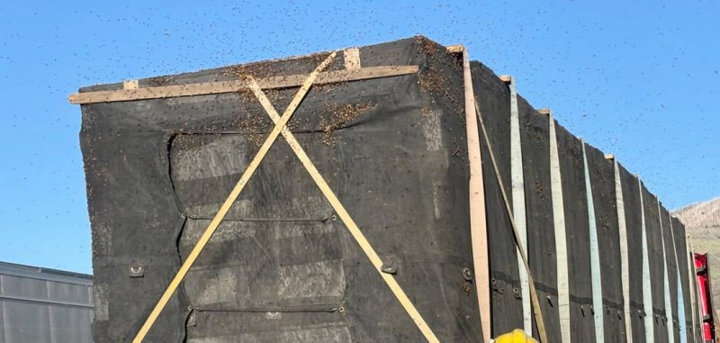 Semi-truck that broke down in Parleys Canyon that had bees inside taken care of Semi-truck that broke down in Parleys Canyon that had bees inside taken care of