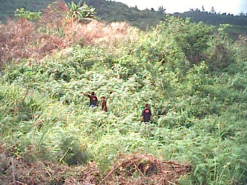 Hey, what's that over there??? - trekking in Campuestohan, Philippines