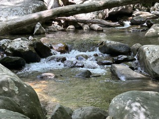 Creek in Chimneys picnic area, Great Smoky Mountains National Park.  Photo taken by and the property of FourWalls.