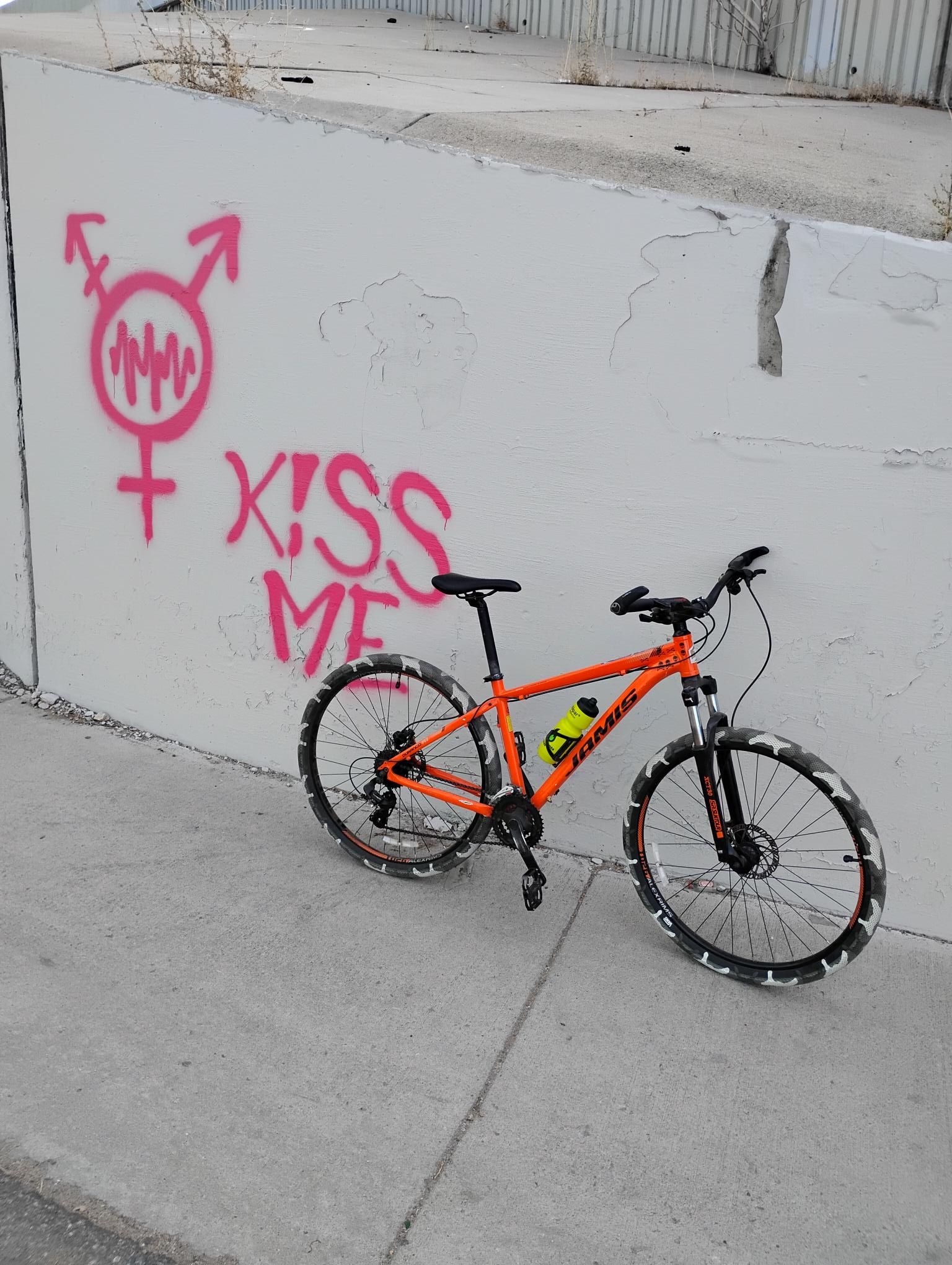 Agent Orange wants a kiss Agent Orange wants a kiss