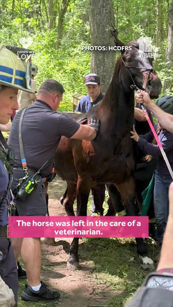 Firefighters in Maryland rescue a horse that fell through a footbridge