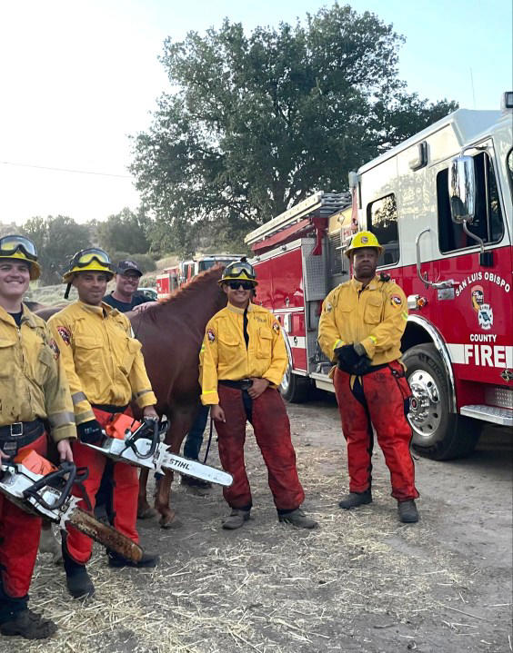 Firefighters of the San Luis Obispo County rescue a horse that needed to be rescued Firefighters of the San Luis Obispo County rescue a horse that needed to be rescued