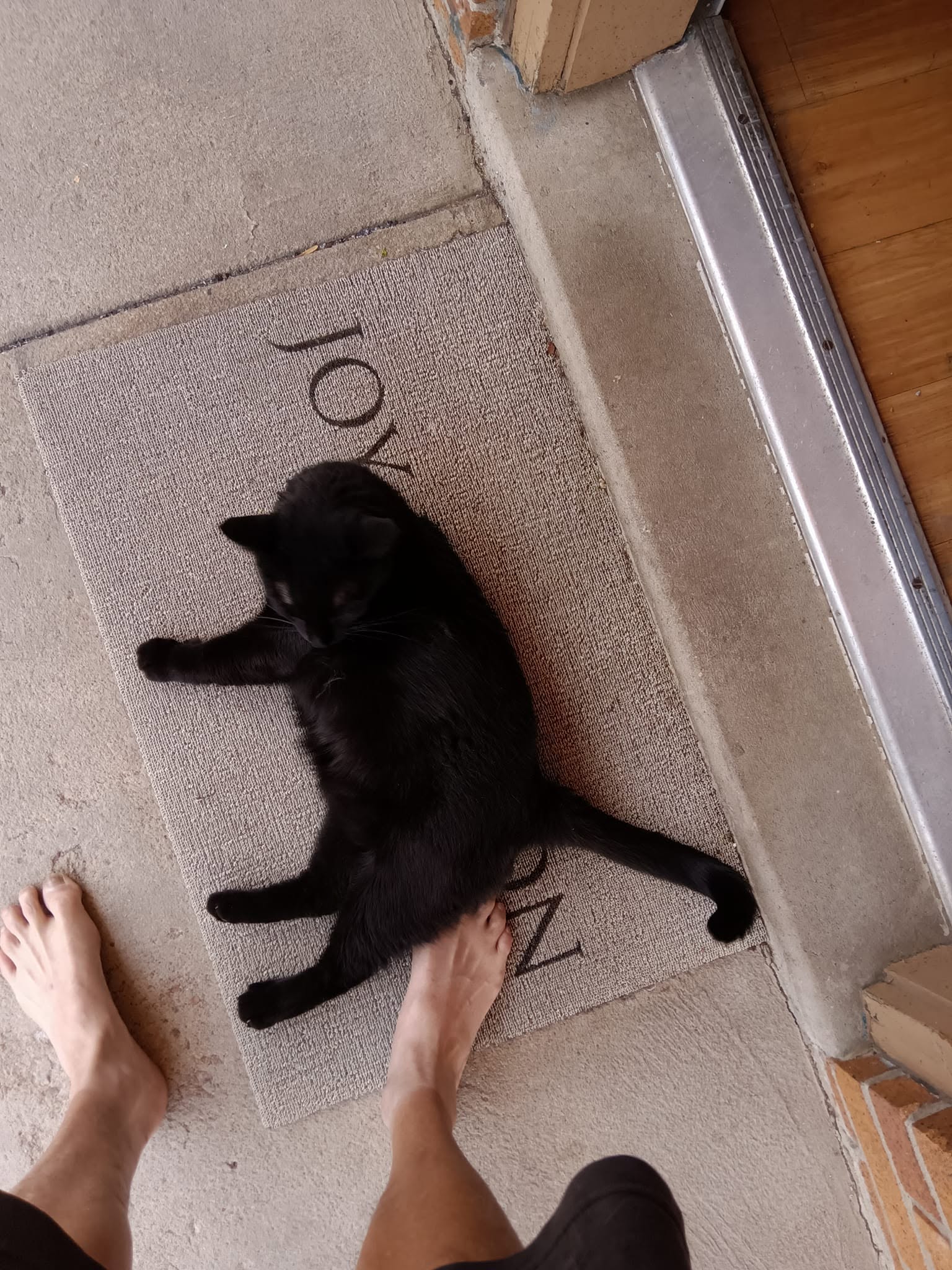 My little buddy, Tarot My little buddy, Tarot