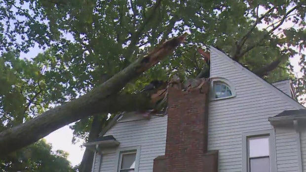 Tree falls on a house in Dearborn Michigan on Friday Tree falls on a house in Dearborn Michigan on Friday