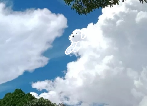 A cropped photo from it's original. Doodling in the clouds a a cute puppy.
