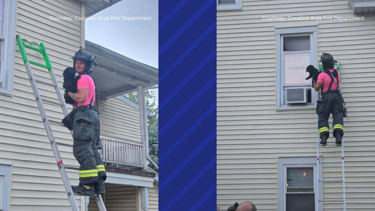 Firefighters in Lancaster County rescue a dog that needed help on Wednesday 