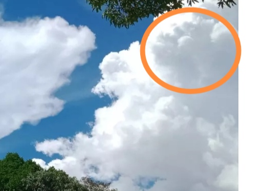 Cropped image from the original photo. Showing an image in the clouds that is seems like a bull.
