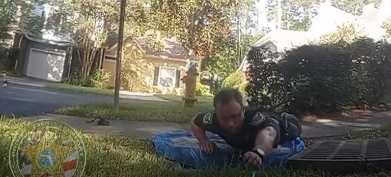 ACSO deputy rescues ducklings who were inside of a storm drain in Florida ACSO deputy rescues ducklings who were inside of a storm drain in Florida