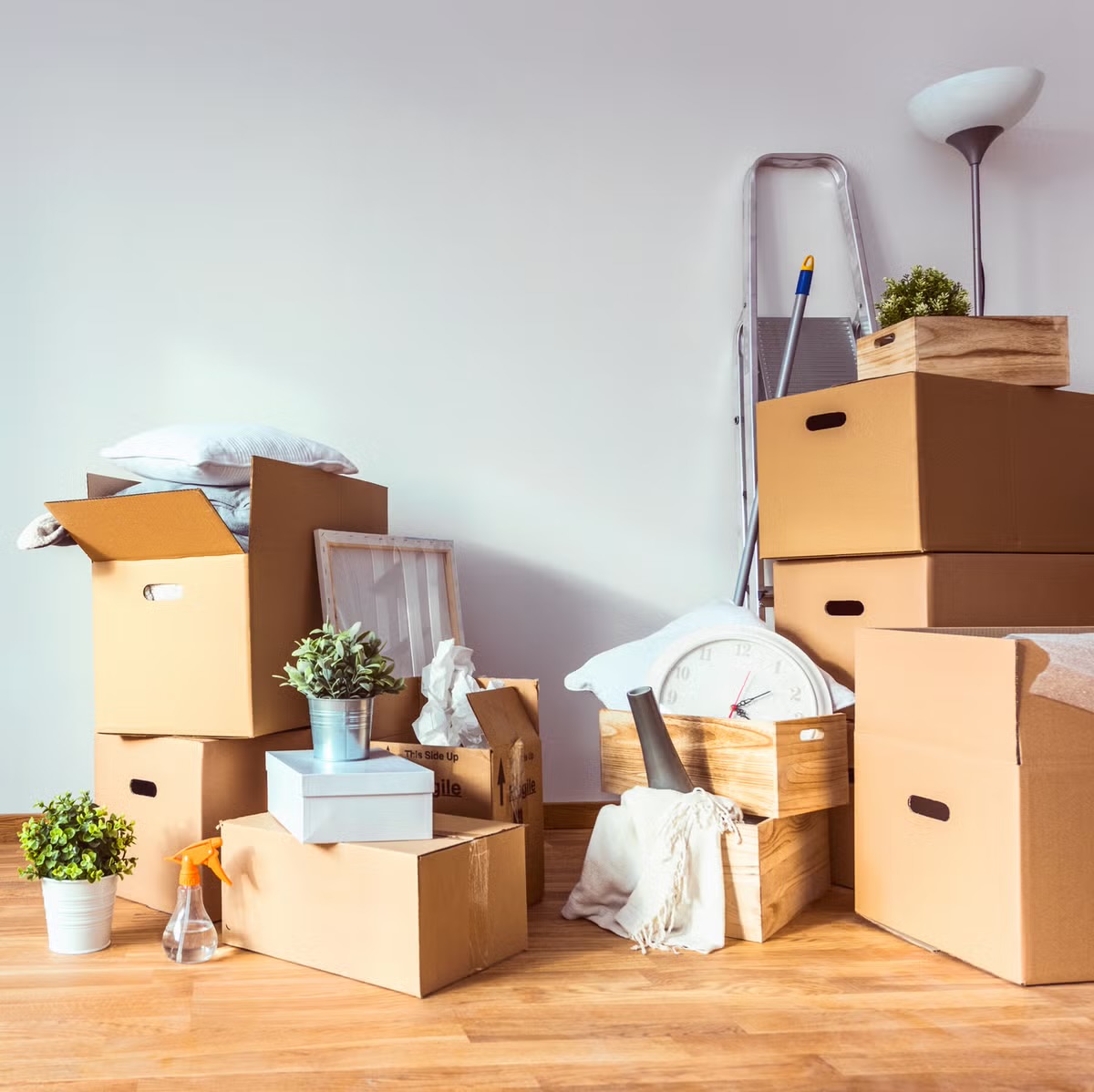 Not our boxes but we have two of those lamps to move. Not our boxes but we have two of those lamps to move.