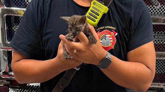 Sandy Springs GA firefighter with a kitten he rescued from a storm drain