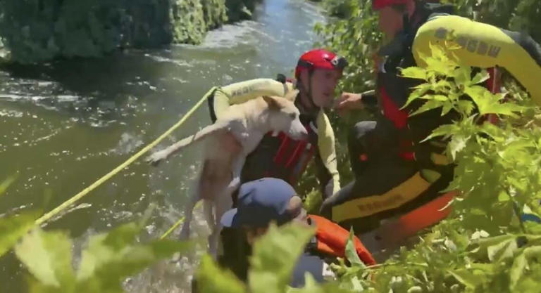 Fresno firefighters rescue a man and his dog in a canal on Tuesday