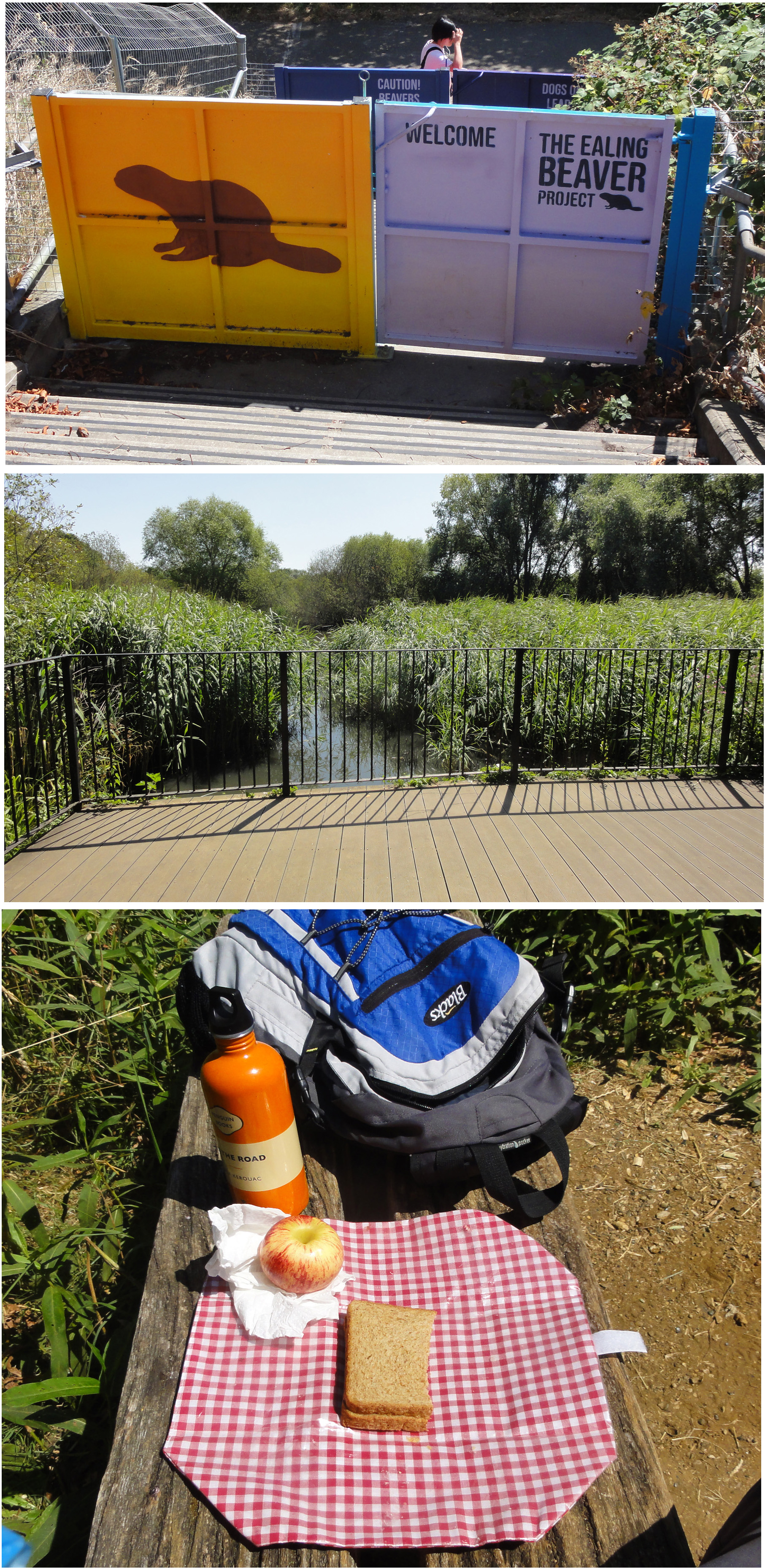 Ealing Beavers