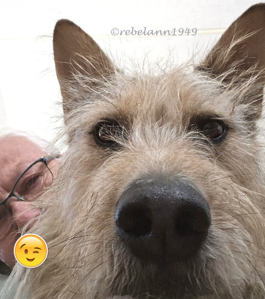 I was goofing around trying to get a selfie of Rosoe with my then new phone I was goofing around trying to get a selfie of Rosoe with my then new phone