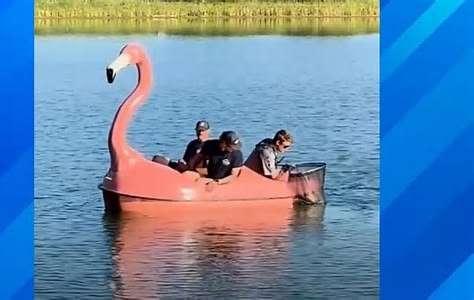 Animal control officers and firefighters in Colorado rescue a turtle trapped in a fishing line Animal control officers and firefighters in Colorado rescue a turtle trapped in a fishing line