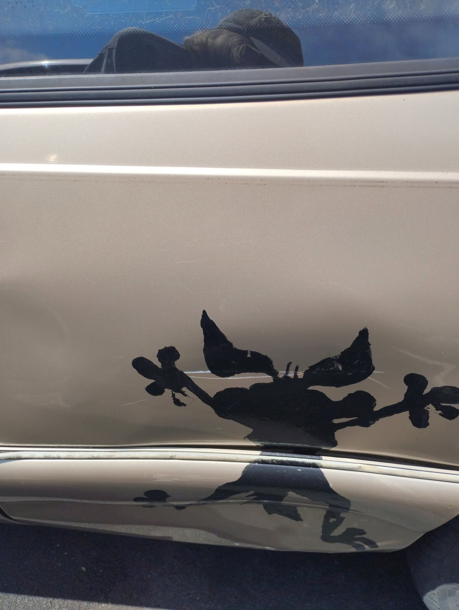 picture on a car picture on a car