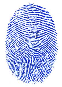 Fingerprint identification systems - Blue print of a finger print.