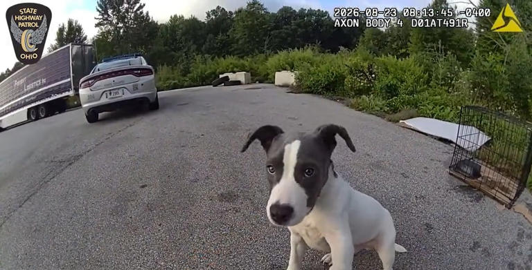 An Ohio State Highway Patrol officer rescues an abandoned puppy at a rest stop