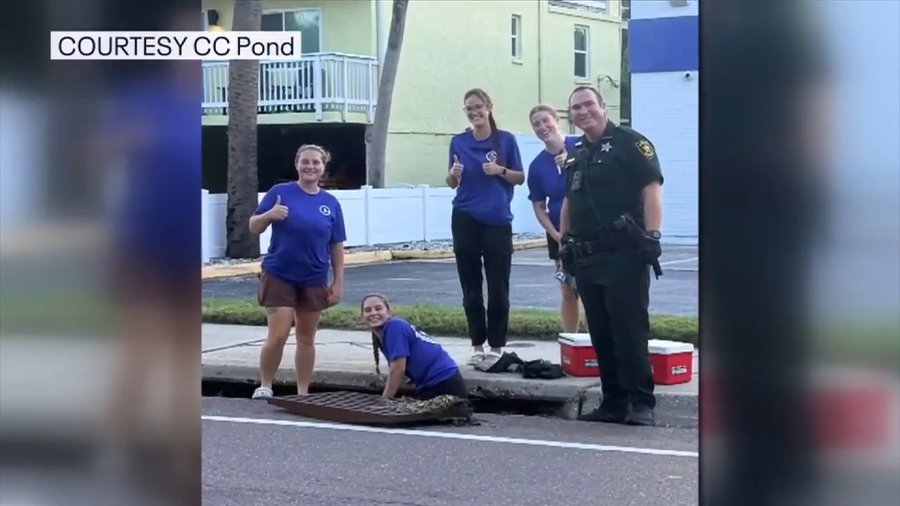 Pinellas County Sheriff's Office deputy and volunteers rescue sea turtles in Clearwater Pinellas County Sheriff's Office deputy and volunteers rescue sea turtles in Clearwater