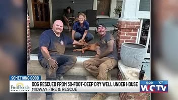 Firefighters in Florida rescue a dog that was on the bottom of a dry well