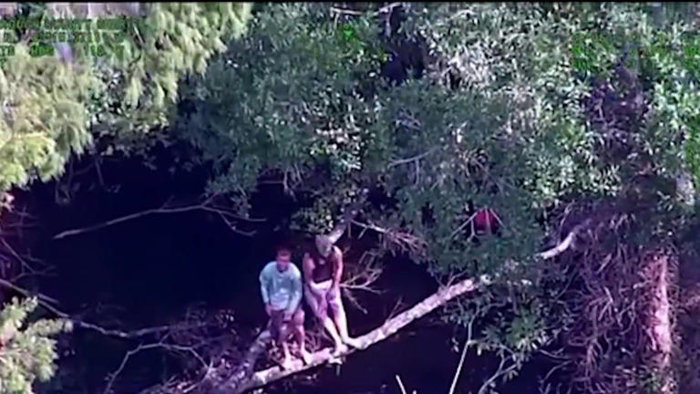 Deputies in Florida rescue 2 boaters who were stranded on a tree branch Deputies in Florida rescue 2 boaters who were stranded on a tree branch