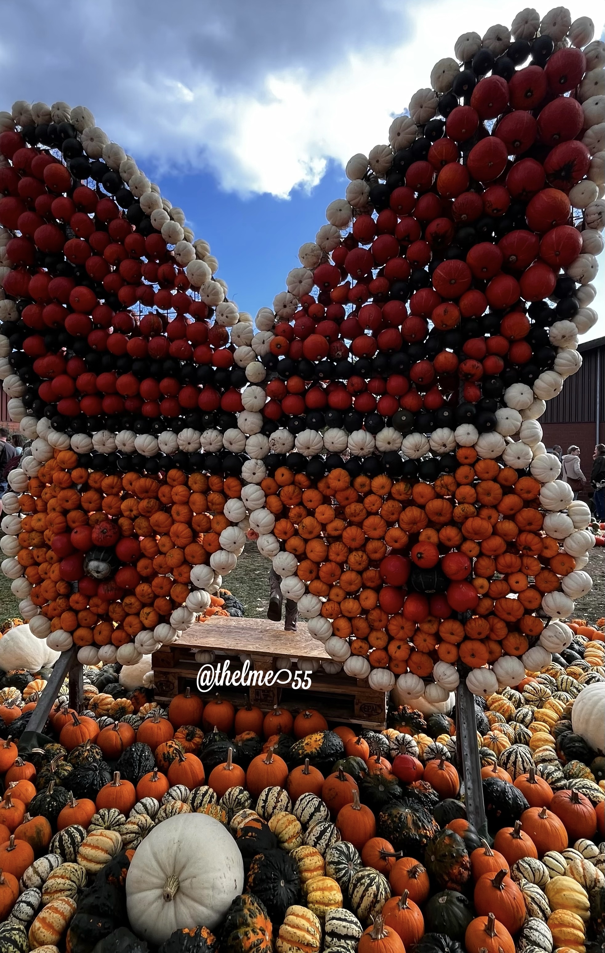 Pumpkin Pumpkin