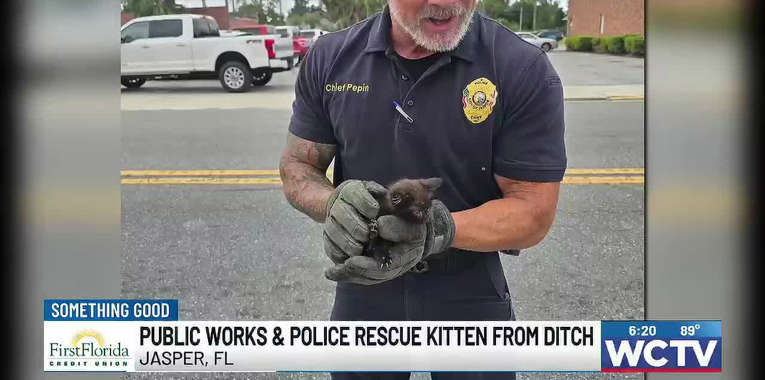 Police officer in Jasper Florida rescues a kitten who was in a drainage ditch