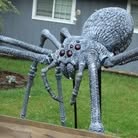 spider spider