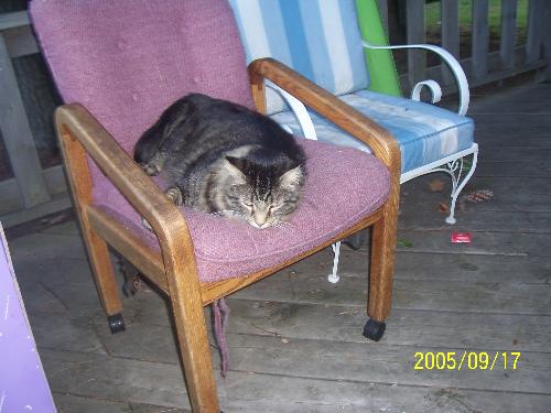 my big baby - big tony