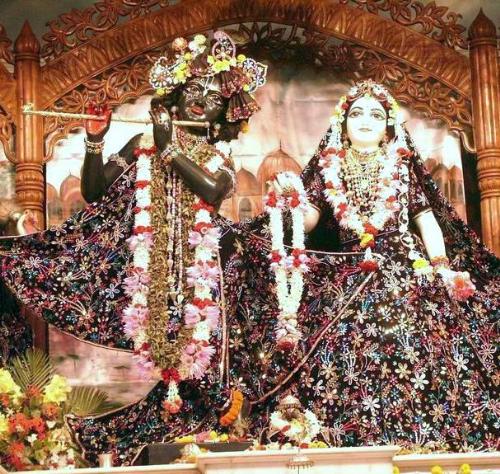 Sri Radha Madhav - Radha Madhav
