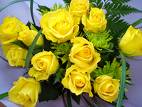yellow roses - yellow roses