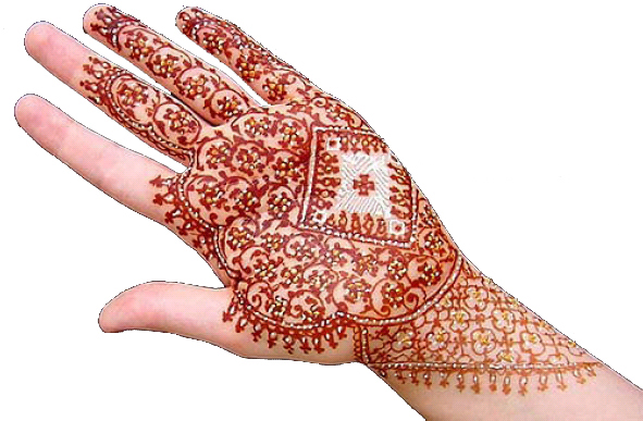 Henna 3 - Henna (Mehndi) another beautiful design