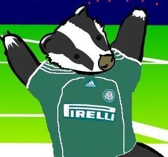 Badger Palmeiras - ***   Palmeiras!!!